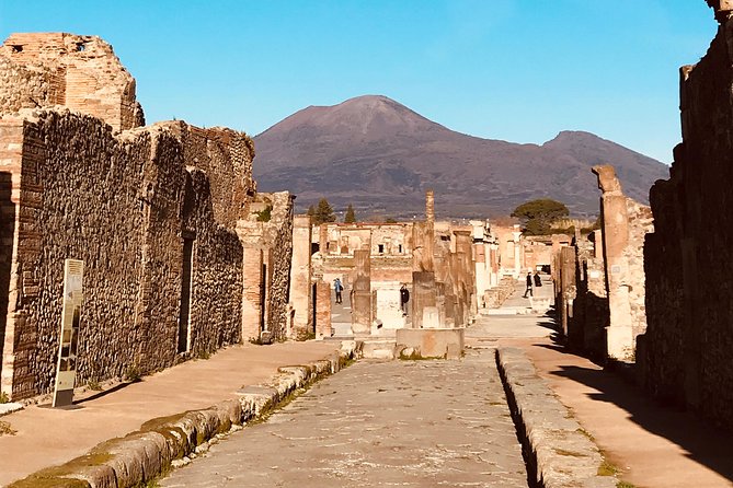 PompeiI Exclusive Tour with your Archaeologist in a Small Group - Casa del Fauno and House of the Vettii: Private Wealth Meets Public Meaning