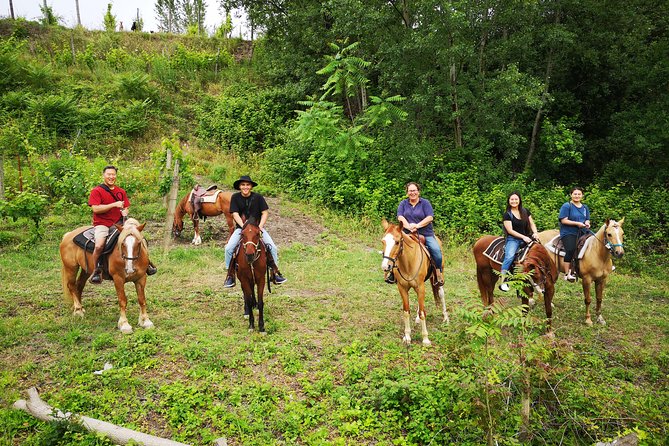 Pompeii Guided Tour & Horse Riding on Vesuvius with Lunch - Who this Pompeii and Vesuvius combo fits best