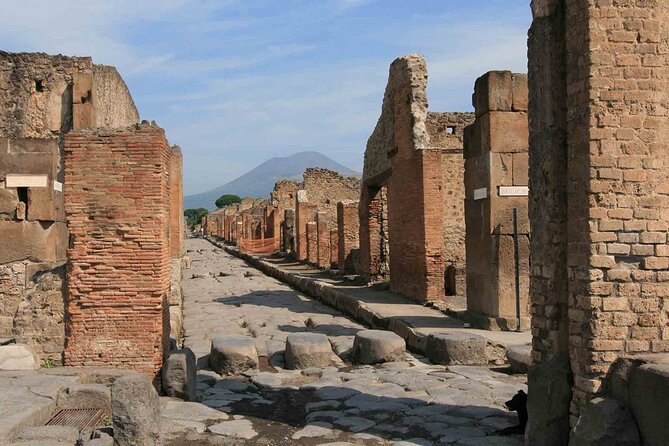 Pompeii & Herculaneum Day Trip from Naples with Lunch - Naples pickup and coach ride: the day’s built-in momentum