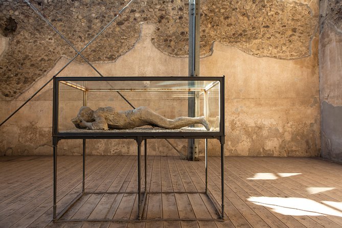 Pompeii & Mt.Vesuvius Day Tour from Naples with Pizza Lunch - Pizza lunch and free time: what you will get, and what to watch for