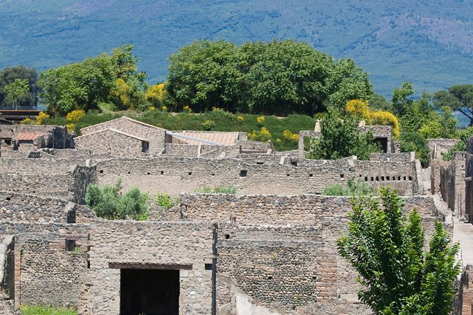 Pompeii Ruins Half-Day Tour from Sorrento with Guide - Thermal Baths: Where Social Life Was Built Into the Day