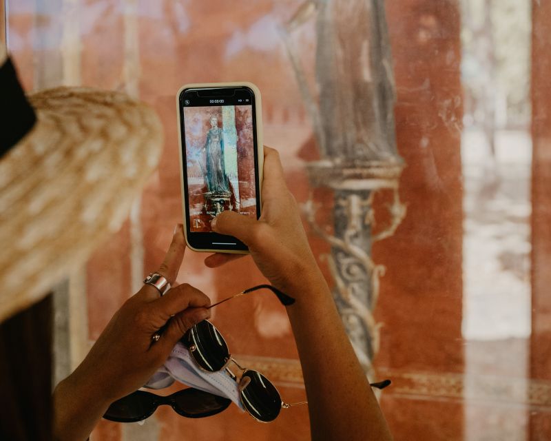Pompeii: Skip-the-Line Entry Ticket with Digital Guide App - Price and value at about $22: who should book this ticket