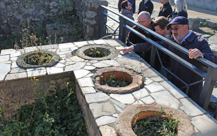Pompeii: Skip-the-Line Tickets and Tour with Archaeologist - Forum and Market Stops: How Politics and Commerce Felt