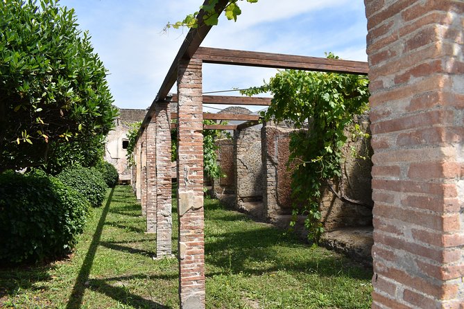 Pompeii Skip-the-line Tour with Archaeologist Guide - Pompeii’s forum and civic life: where religion and politics overlap