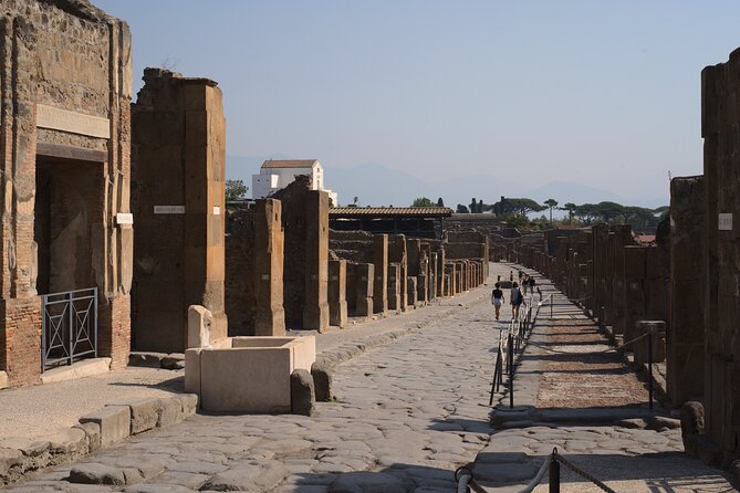 Pompeii Tour & Lunch with Wine Tasting Experience - Is the $120.98 price actually fair?