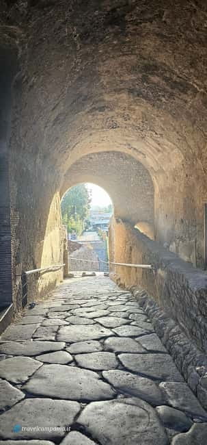 Pompeii: Tour with Archaeologist Guide & Skip-the-Line Entry - Your Archaeology Guide Format, Earpieces, and Language Options