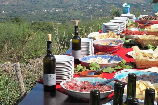 Private 6-Hour Tour of Three Etna Wineries with food&wine tasting - Stop 2: a second tasting with tagliere, pasta, and more wines