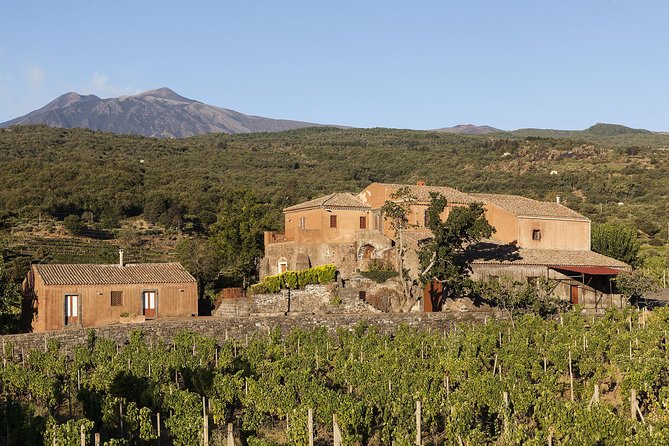 Private 6-Hour Tour of Three Etna Wineries with food&wine tasting - Wine education that you can actually use on day two