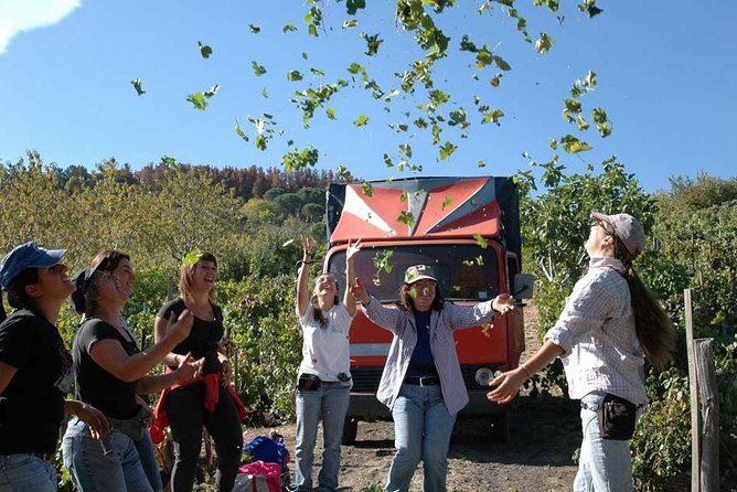 Private 6-Hour Tour of Three Etna Wineries with food&wine tasting - Price and value: what you are really paying for