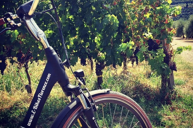 Private Self-Guided E-Bike Ride in Tuscany with Vineyard Visit - Why a private self-guided e-bike day beats a typical Florence tour