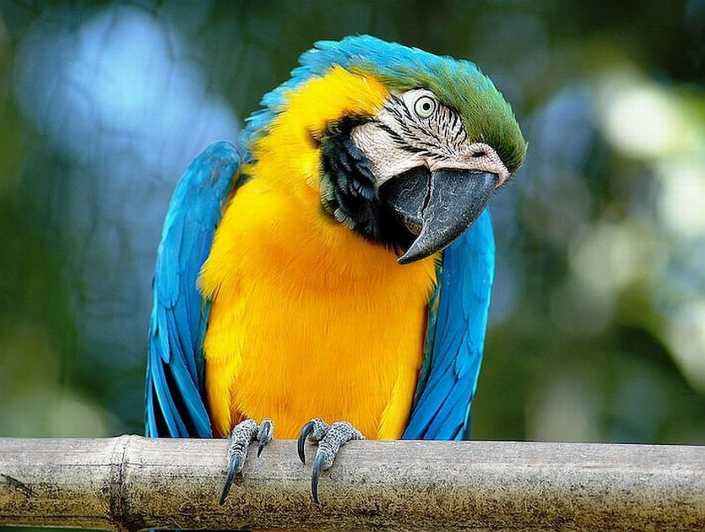 Rome: Bioparco di Roma Zoological Garden Entry Ticket - Key highlights to know before you go