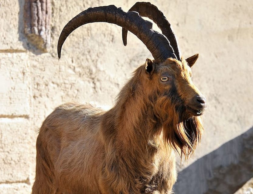 Rome: Bioparco di Roma Zoological Garden Entry Ticket - Price and value: does $25 make sense?