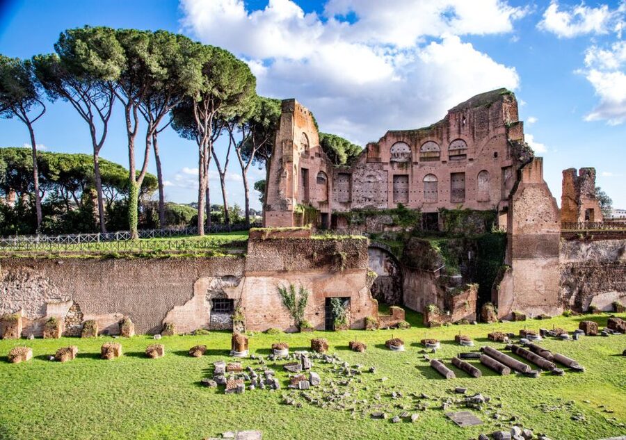Rome: Colosseum Arena Access and Ancient Rome Guided Tour - Roman Forum Walk: Passing Temple of Romulus, Vestals, Julius Caesar, and the Senate House