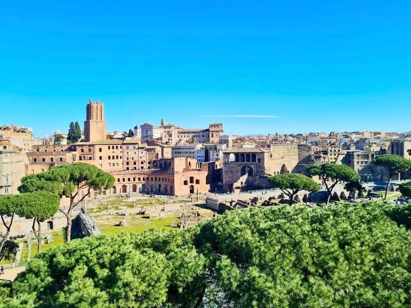 Rome: Colosseum Arena Guided Tour, Forum & Palatine Option - The real payoff: arena-level context, not just photos