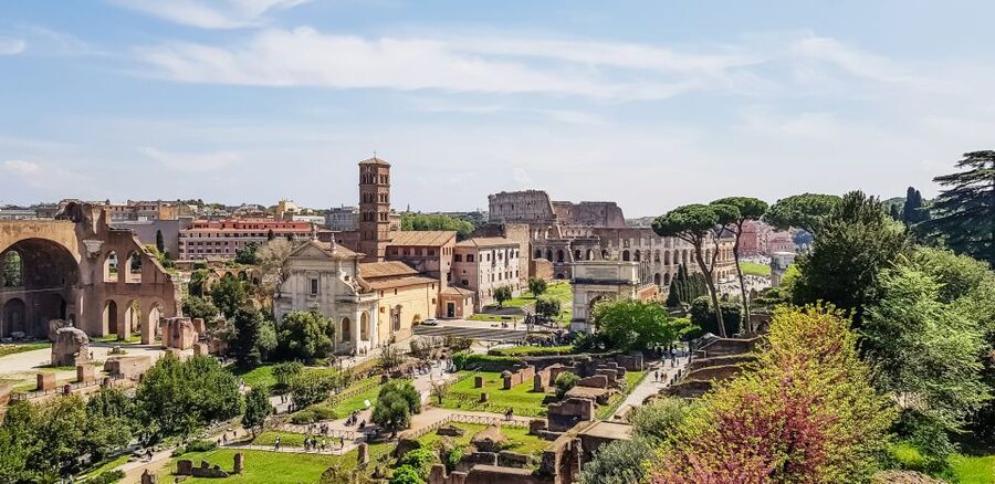 Rome: Colosseum Arena, Palatine Hill & Forum Guided Tour - Roman Forum: Political Life, Not Just Marble