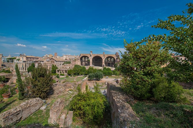 Rome: Colosseum Arena, Roman Forum & Palatine Hill Tour - Roman Forum: From Entertainment to Politics and Backstabbing
