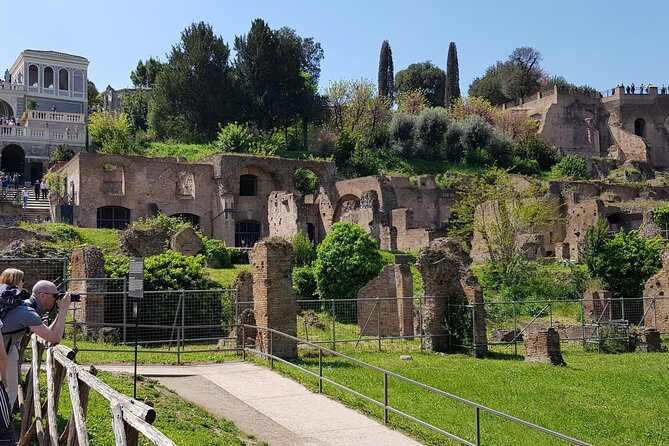 Rome: Colosseum, Palatine Hill and Roman Forum Guided Tour - Entering the Colosseum: Arena Views and Interior Floors