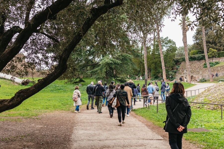 Rome: Colosseum, Palatine Hill & Roman Forum Guided Tour - Colosseum, Forum, and Palatine Hill in One Built-In Story