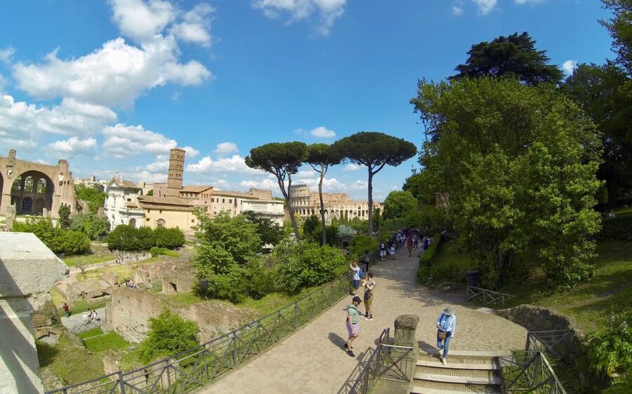 Rome: Colosseum, Roman Forum, and Palatine Hill Tour - Roman Forum: The City’s Center, Not Just Ruins