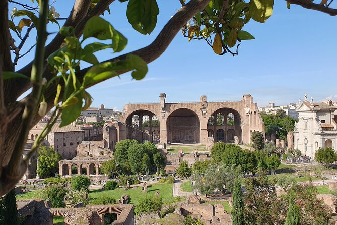 Rome: Colosseum, Roman Forum & Palatine Hill Experience - What’s included in the ticket set, and what you need to bring