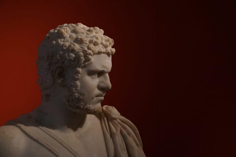 Rome: Colosseum, Roman Forum & Palatine Hill Experience - Who should book this Colosseum, Forum, and Palatine experience