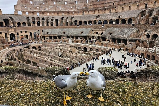 Rome: Colosseum, Roman Forum & Palatine Hill Visit + Audio Guide - What This Works Best For (And When It Does Not)