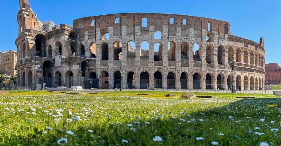 Rome: Colosseum Tour with Access to the Gladiator Arena - Stop-by-stop flow: from meeting point to Forum self-guided time