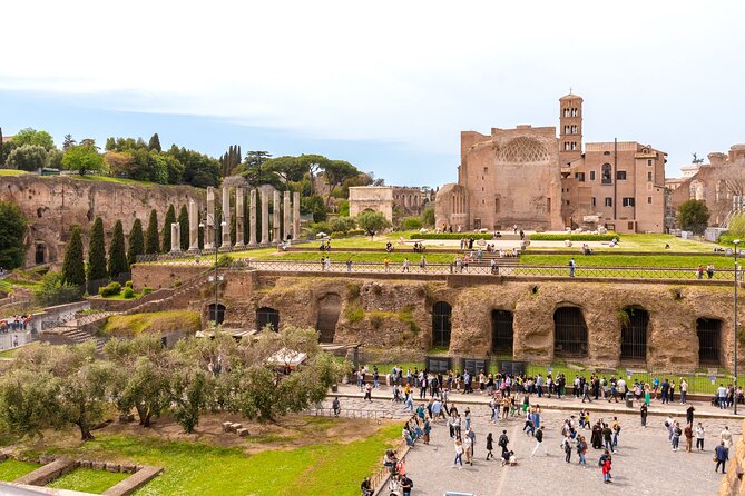Rome: Colosseum with Roman Forum & Palatine Hill Guided Tour - Stop 2, Roman Forum: the political heart behind the movie scenes