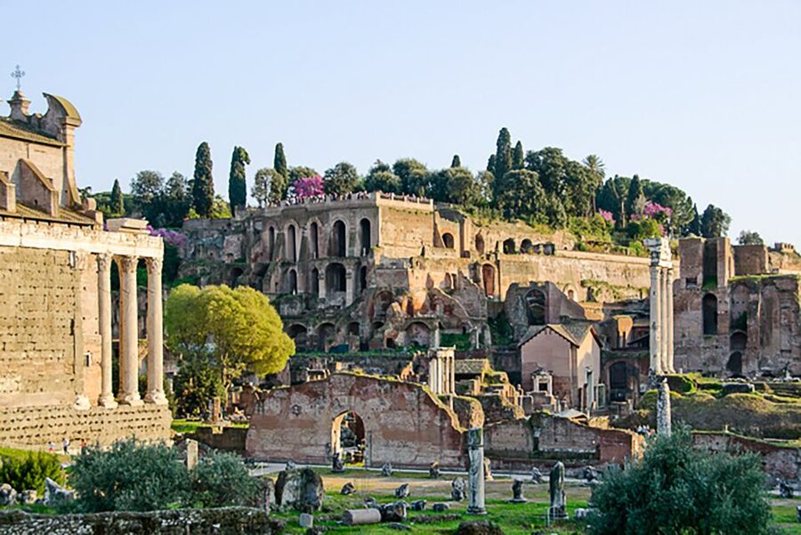 Rome: Guided Tour of Colosseum, Roman Forum & Palatine Hill - Roman Forum: where speeches, laws, and daily politics actually make sense