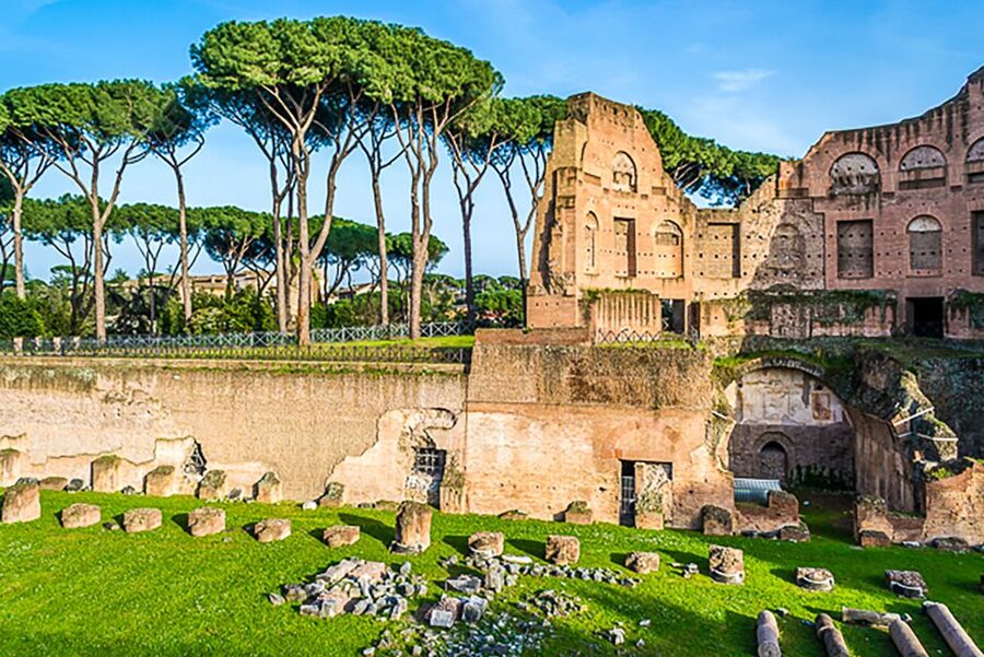 Rome: Guided Tour of Colosseum, Roman Forum & Palatine Hill - Guides make or break it, and this tour has a strong track record