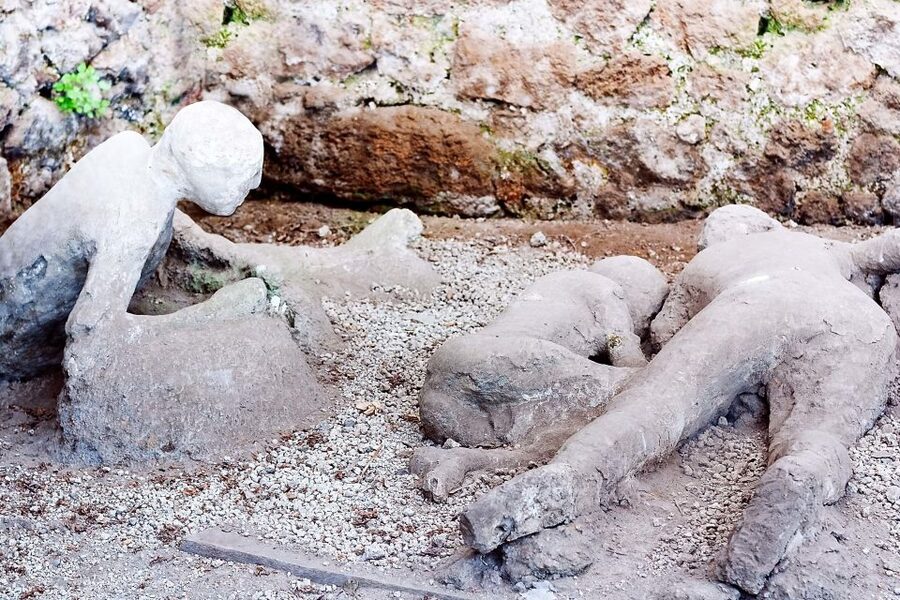 Rome: Pompeii and Naples Day Trip with Pompeii Entry Ticket - Comfort and Logistics Matter More Than You Think on a 13-Hour Day