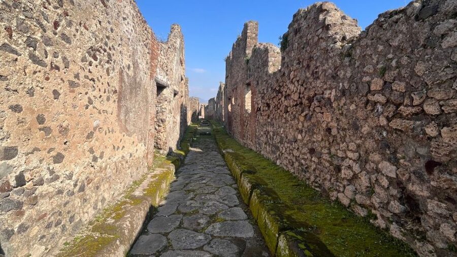Rome: Pompeii Tour with Wine and Lunch by High Speed Train - Who This Tour Fits Best (and Who Might Want Something Else)