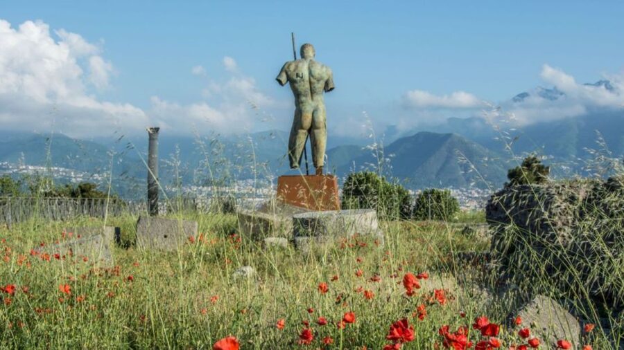 Rome: Pompeii Tour with Wine and Lunch by High Speed Train - Why the High-Speed Train Makes Pompeii Feel Doable