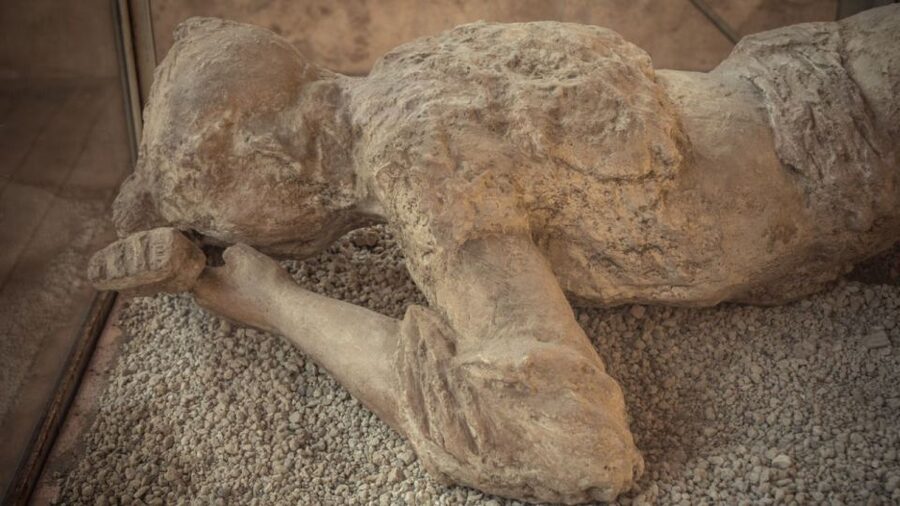 Rome: Pompeii Tour with Wine and Lunch by High Speed Train - Rome to Naples by High-Speed Rail, Then a Private Coach