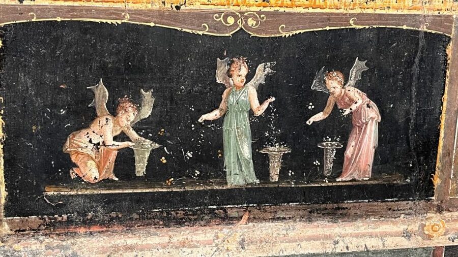 Rome: Pompeii Tour with Wine and Lunch by High Speed Train - Vineyard Lunch and Wine Tasting: A Volcanic-Soil Break from Ruins