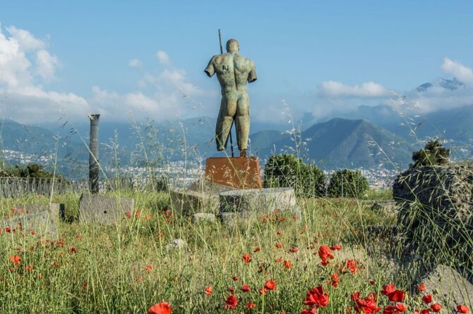 Rome to Pompeii Guided Tour with Wine & Lunch by High Speed Train - Return to Naples by shuttle, then back to Rome on the fast train