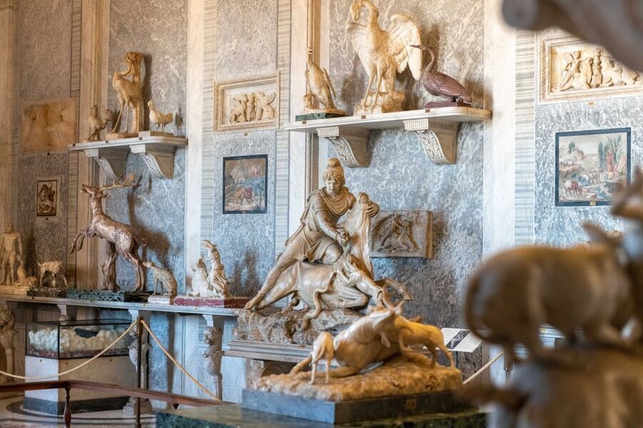 Rome: Vatican Museums, Sistine Chapel, and Basilica Tour - Sistine Chapel: how to see Michelangelo’s ceiling in a short, busy window