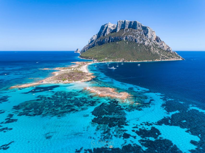 Sardegna: Tavolara Boat Tour with Snorkeling - Orecchio di Ulisse (Grotta della Madonnina): Caves and Wildlife From The Water