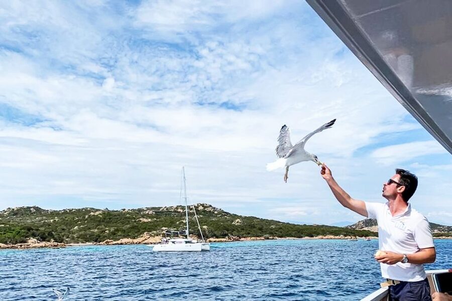 Sardinia: La Maddalena Archipelago Full-Day Trip by Boat - Onboard Comfort, Bathrooms, and the Crew’s Role