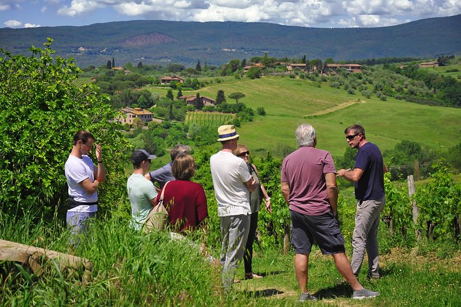 Siena: A Wine Tour and Tasting Experience - Stop 3 Tasting Room: Four Organic Wines and How to Taste Better