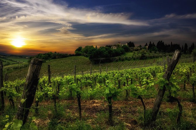 Siena: A Wine Tour and Tasting Experience - Stop 4 Light Tuscan Lunch with Wine and Extra-Virgin Olive Oil