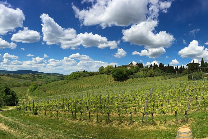 Siena: A Wine Tour and Tasting Experience - Best Fit: Who This Tour Is Made For