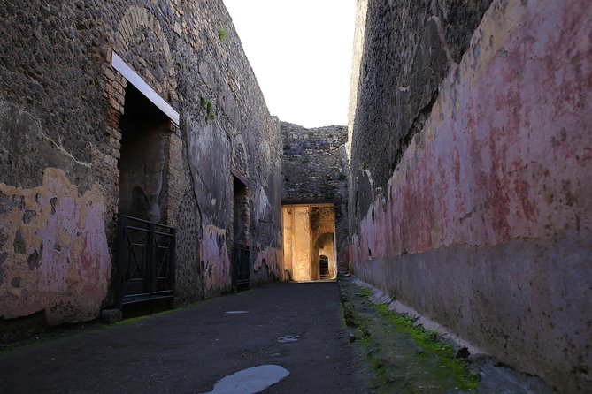 Skip the Line Guided Tour of Pompeii led by an Archaeologist - Guides are the real product: what makes Lello, Italo, and others work