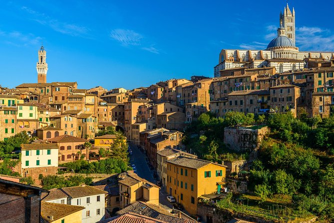 Skip the Line: Siena Duomo and City Walking Tour - Meet in Piazza San Domenico, then step into Catherine’s world