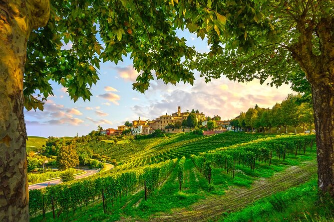 Small-Group Barolo Wine Tasting, Alba & UNESCO Piedmont Hills - Inside Barolo country: Nebbiolo rules and a guided cellar tasting