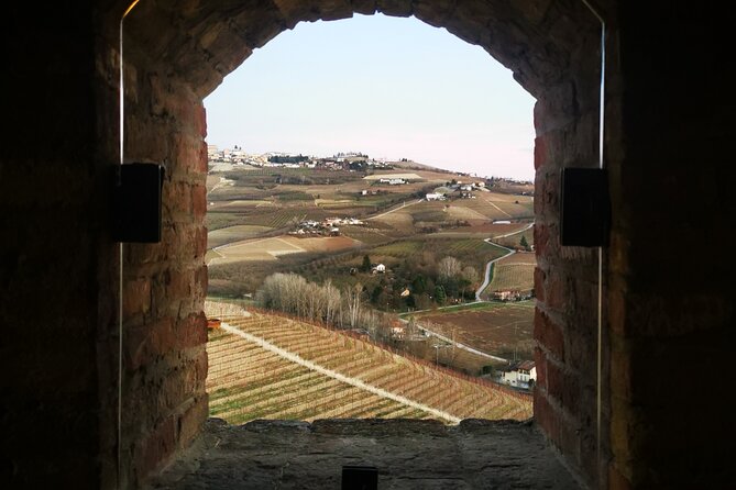 Small-Group Barolo Wine Tasting, Alba & UNESCO Piedmont Hills - Should you book this tour?