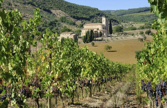 Small-Group Brunello di Montalcino Wine-Tasting Trip from Siena - Key Highlights You’ll Actually Care About