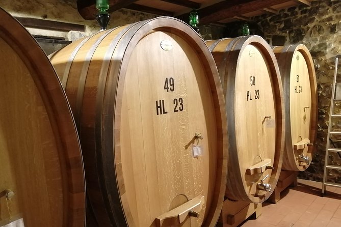 Small-Group Brunello di Montalcino Wine-Tasting Trip from Siena - Fortezza di Montalcino and Final Winery Tasting