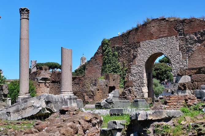 Small Group Colosseum, Roman Forum & Palatine Hill Tour - Price and Value: What You’re Really Paying For