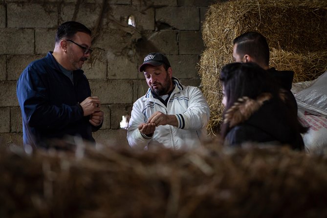 Sorrento Farm by Tuk Tuk: Cheese, Limoncello & Hands-On Pizza - Hands-on Neapolitan pizza making, with dough timing